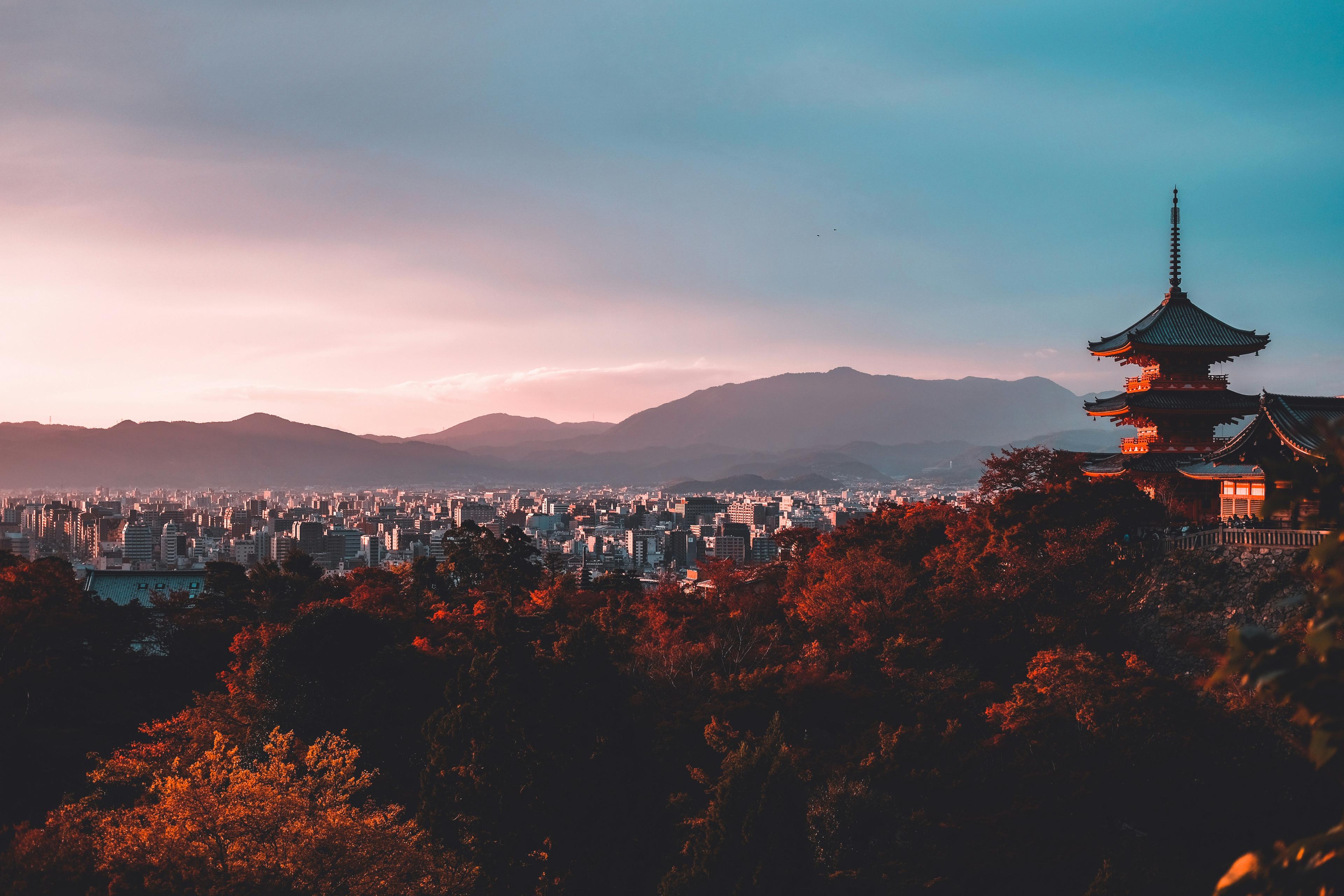 Tokyo Traditional Culture Experience